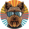 Yorkie with sunglasses retro sun