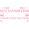 Handwerkerin Chefin oder Meisterin - Mechanikerin