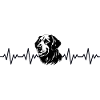 Golden Retriever ECG Heartbeat