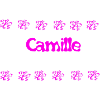Camille Floral Pink Bubble