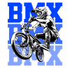 BMX Freestyle Sport Art