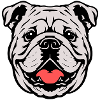 Bulldog Head Illustration