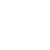 2010