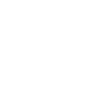 année 1981