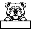 Bulldog Name Badge