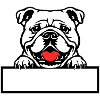 Bulldog Name Badge