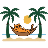 Chat au soleil sur l’île