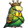 Budgerigars Budgie Owners Budgies