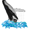 Humpback Whale Print