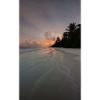 Sunset on the palm beach