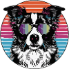Retro dog with sunglasses