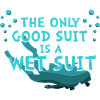 Diving Diver Snorkeling Recreational Diver