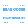 Beau Gosse et Fonctionnaire: Je Gère