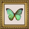 Emerald Butterfly in Gold Frame