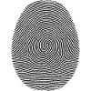 Fingerprint pattern of identity