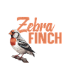 Zebrafinken-Futterhäus-Käfig für Zebras