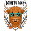 Né de Rock 6 Highland Cattle