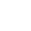 Polar Bear Polar Bear Polygon Icon