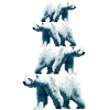 Polar Bear Family Polar Bears