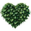 NATUR LOVER - peace & love