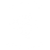 Nouvel An Même chaos