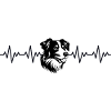 Border Collie ECG Heartbeat