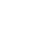 Border Collie ECG Heartbeat