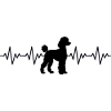 Poodle ECG Heartbeat