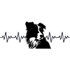 Border Collie ECG Heartbeat