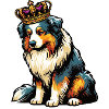 Australian Shepherd Aussie Aussiebesitzer Aussies