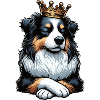 Australian Shepherd Aussie Aussiebesitzer Aussies