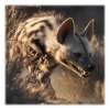Striped Hyena Desert Wildlife Nature