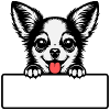 Chihuahua mit Namensschild