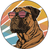 Retro Bulldog with Sunglasses