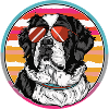 Sun dog in retro summer