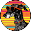Dog with sunglasses