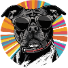 Hund mit Sonnenbrille Retro Patch