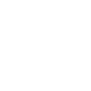 Cocker Spaniel EKG Herzschlag