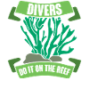 Diving Diver Snorkeling Recreational Diver