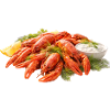 Crayfish
