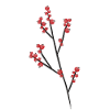 Red berry branches