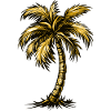 Palm Tree Beach