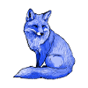 Fox Arctic Fox