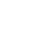 since 2029