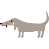 Dachshund