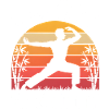 Tai Chi Harmony – Sunset & Balance