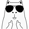 Cat face with sunglasses