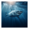 Great White Shark in Sunlight Design Ocean