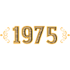 Legend since 1975 retro 1975
