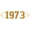 Legend since 1973 retro 1973